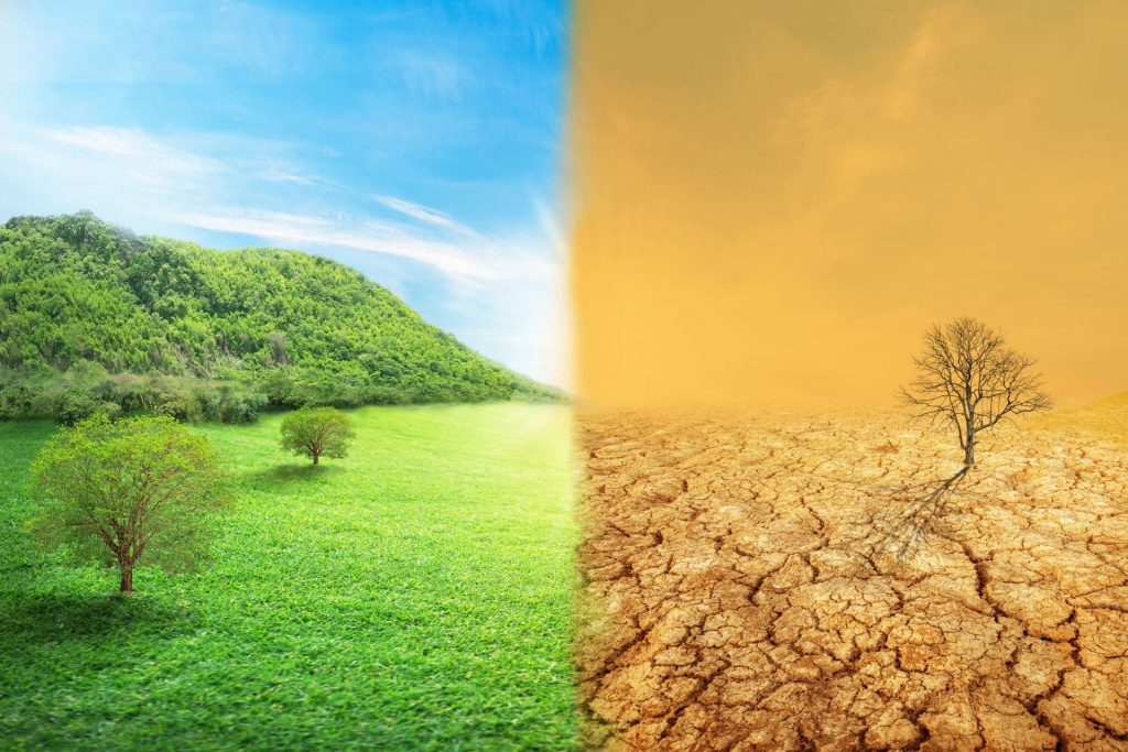 The Environmental Impact of Artificial Grass First Impressions